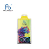 RandM Leopard 40000 Desechable Vape (Caja de 10)