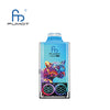 RandM Leopard 40000 Desechable Vape (Caja de 10)