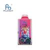 RandM Leopard 40000 Desechable Vape (Caja de 10)