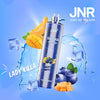 JNR Shisha Hookah 12000 (Caja de 10)