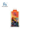 RandM Leopard 40000 Desechable Vape (Caja de 10)